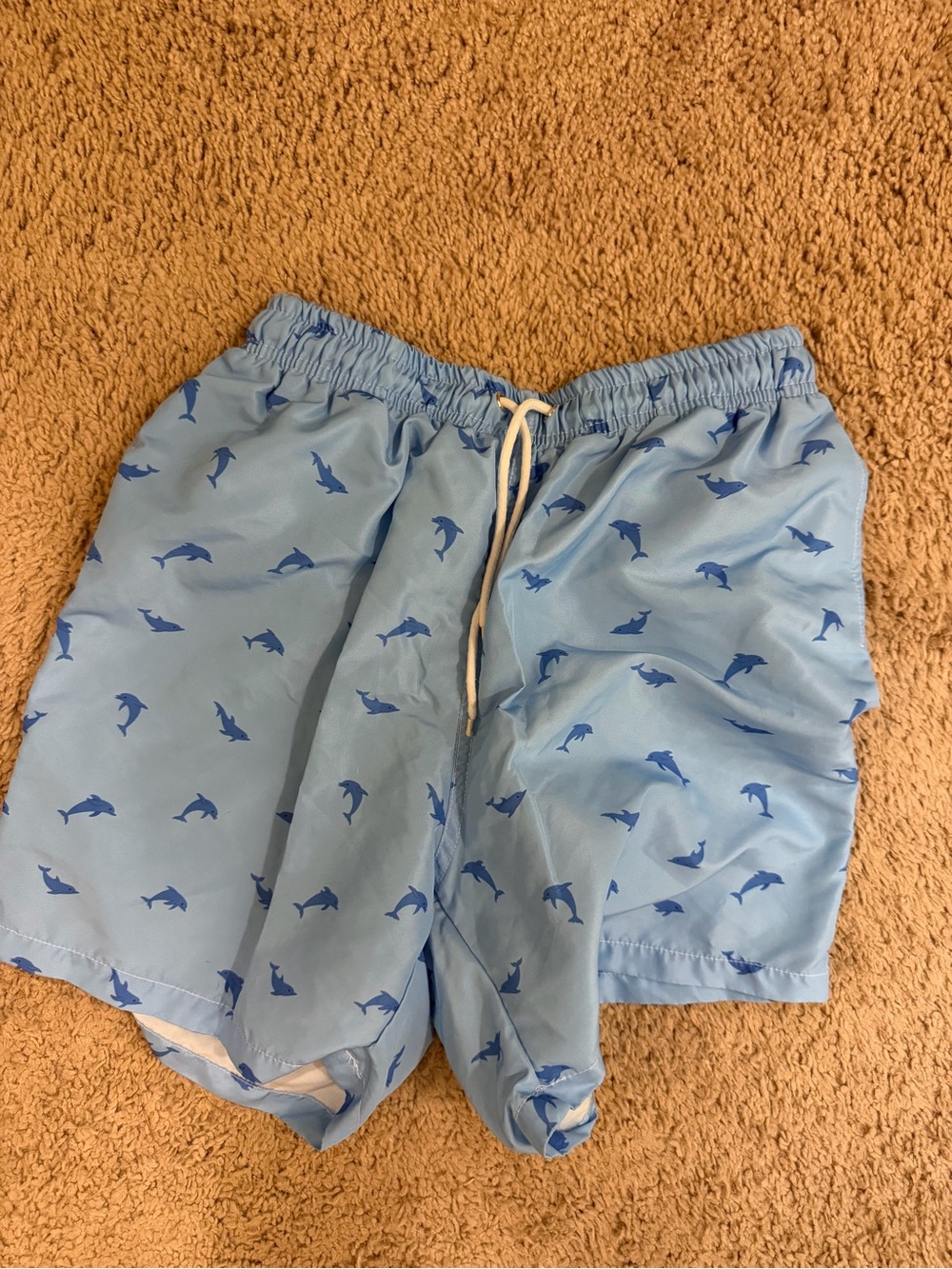 SHEIN Light Blue Dolphin Print Men’s Swim Trunks